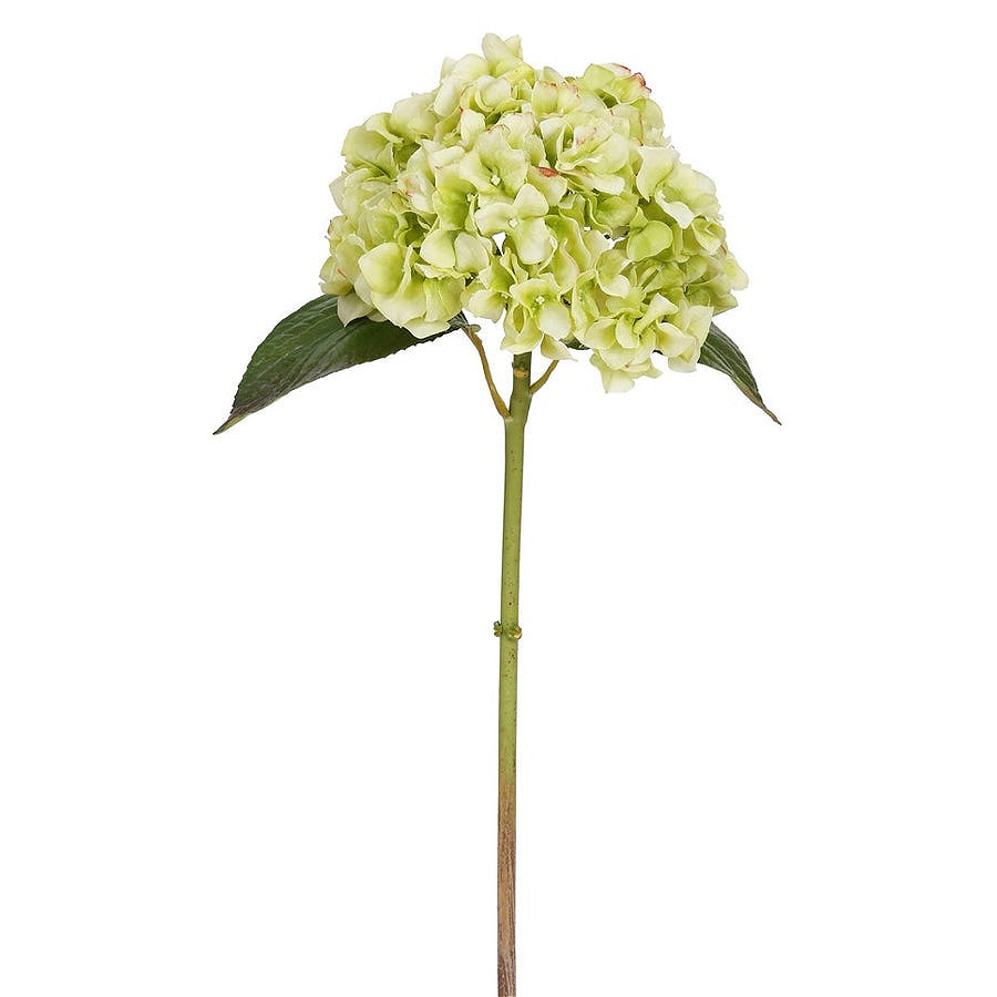 Winward Light Green Hydrangea Stem 18"
