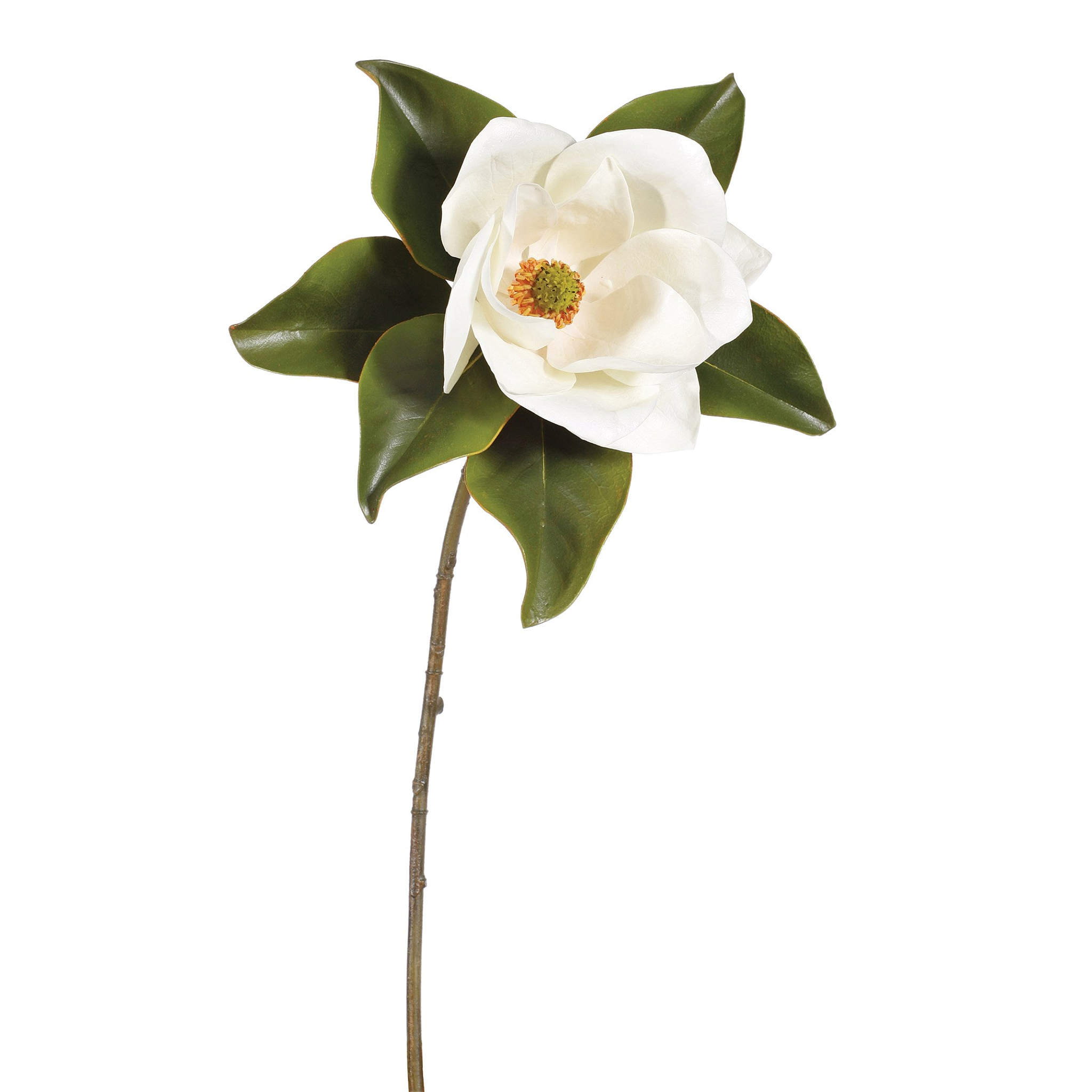 Winward Glorious Magnolia Bloom 24"