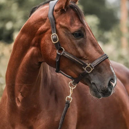 Horse Advent Calendar - 2025