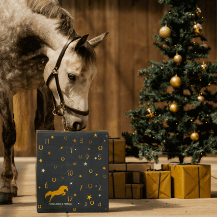 Horse Advent Calendar - 2025