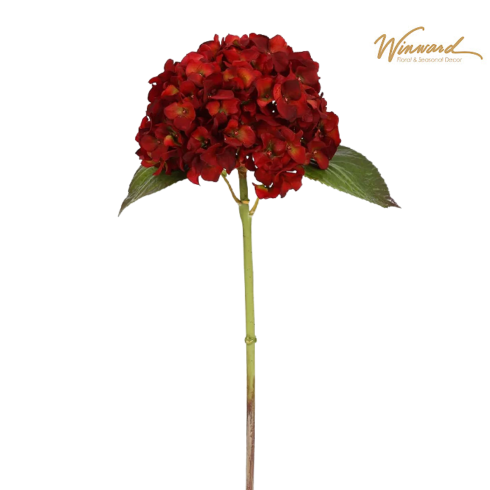 Winward Christmas Red Hydrangea Stem 18"