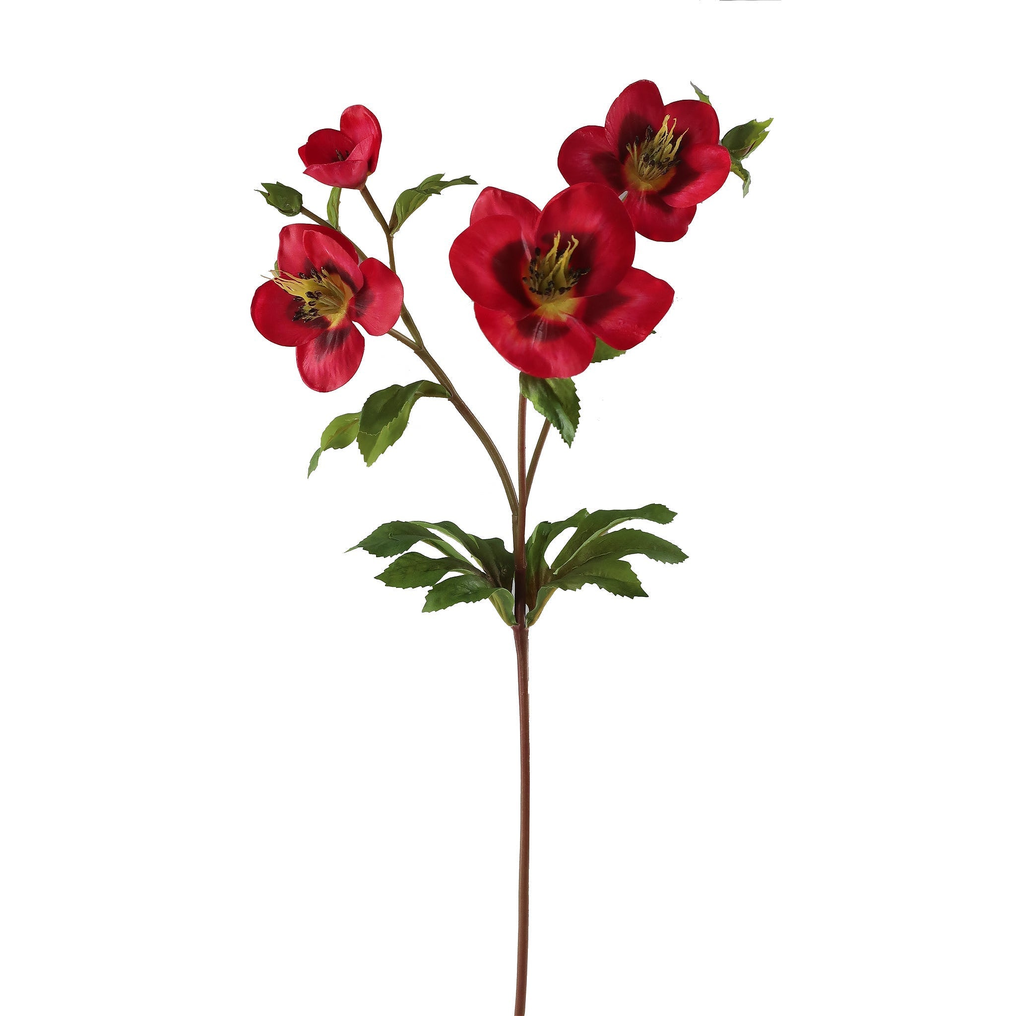 Winward December Hellebore Stem 25"