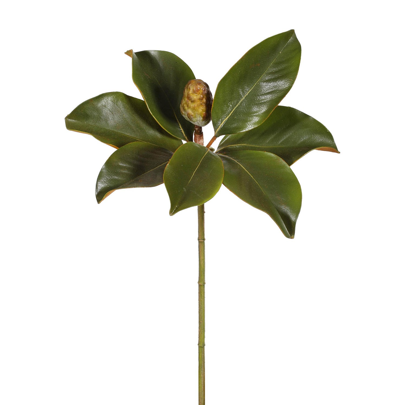 Winward Estate Magnolia Bud Foliage 20"