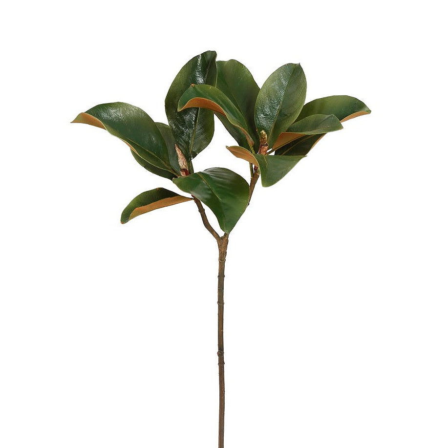 Winward Estate Magnolia Foliage 25"