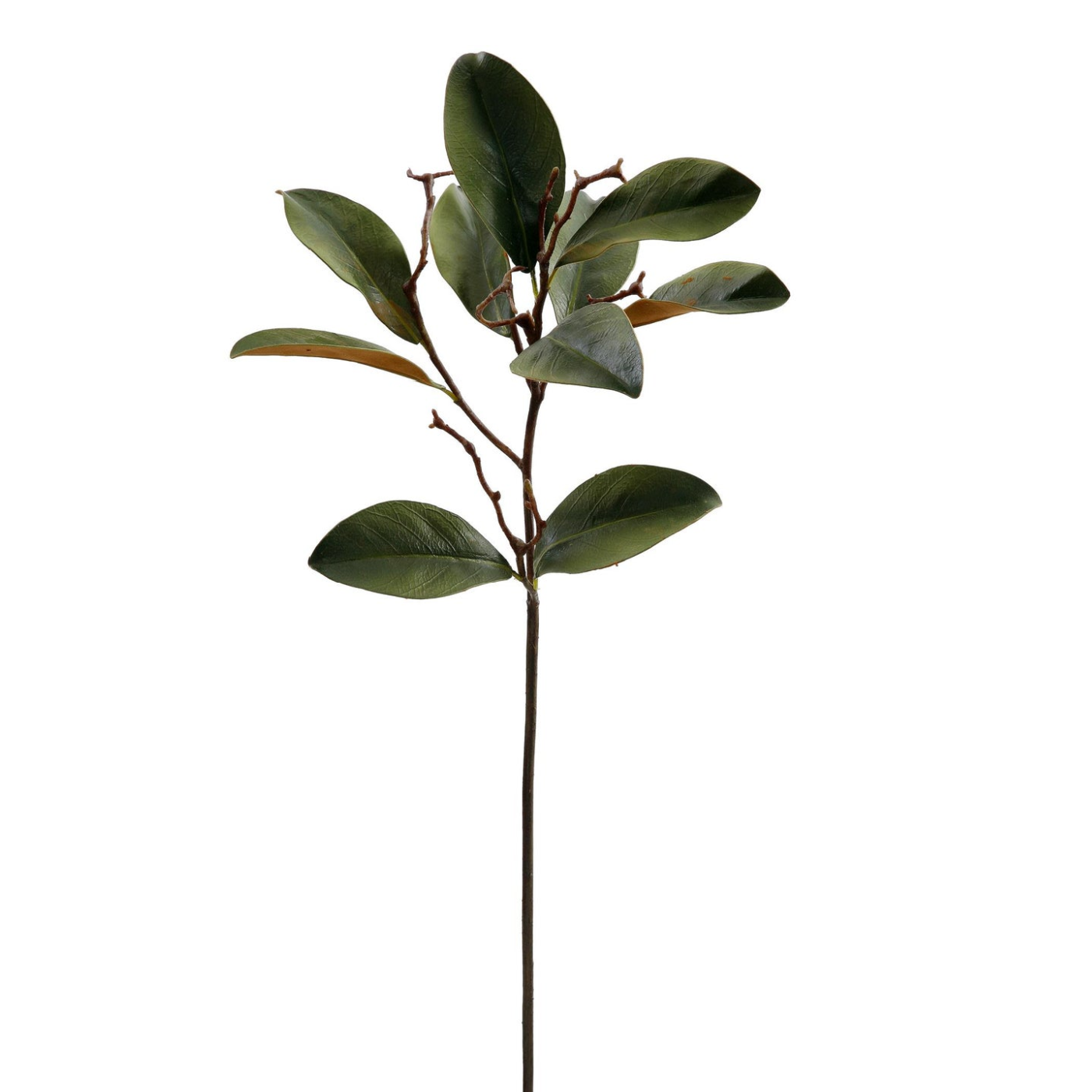 Winward Estate Magnolia Mini Foliage 28.5"