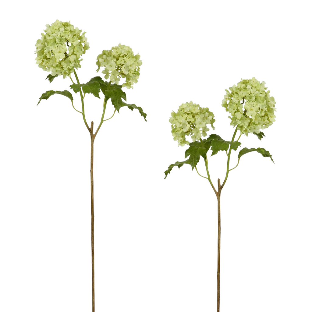 Winward Green Hydrangea Twin Stem 21.5" (Set of 2)