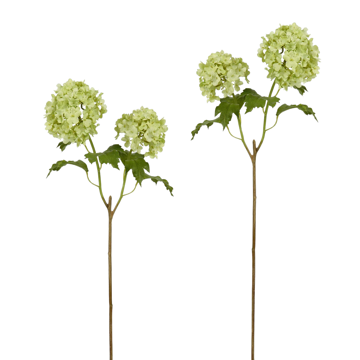 Winward Green Hydrangea Twin Stem 21.5" (Set of 2)