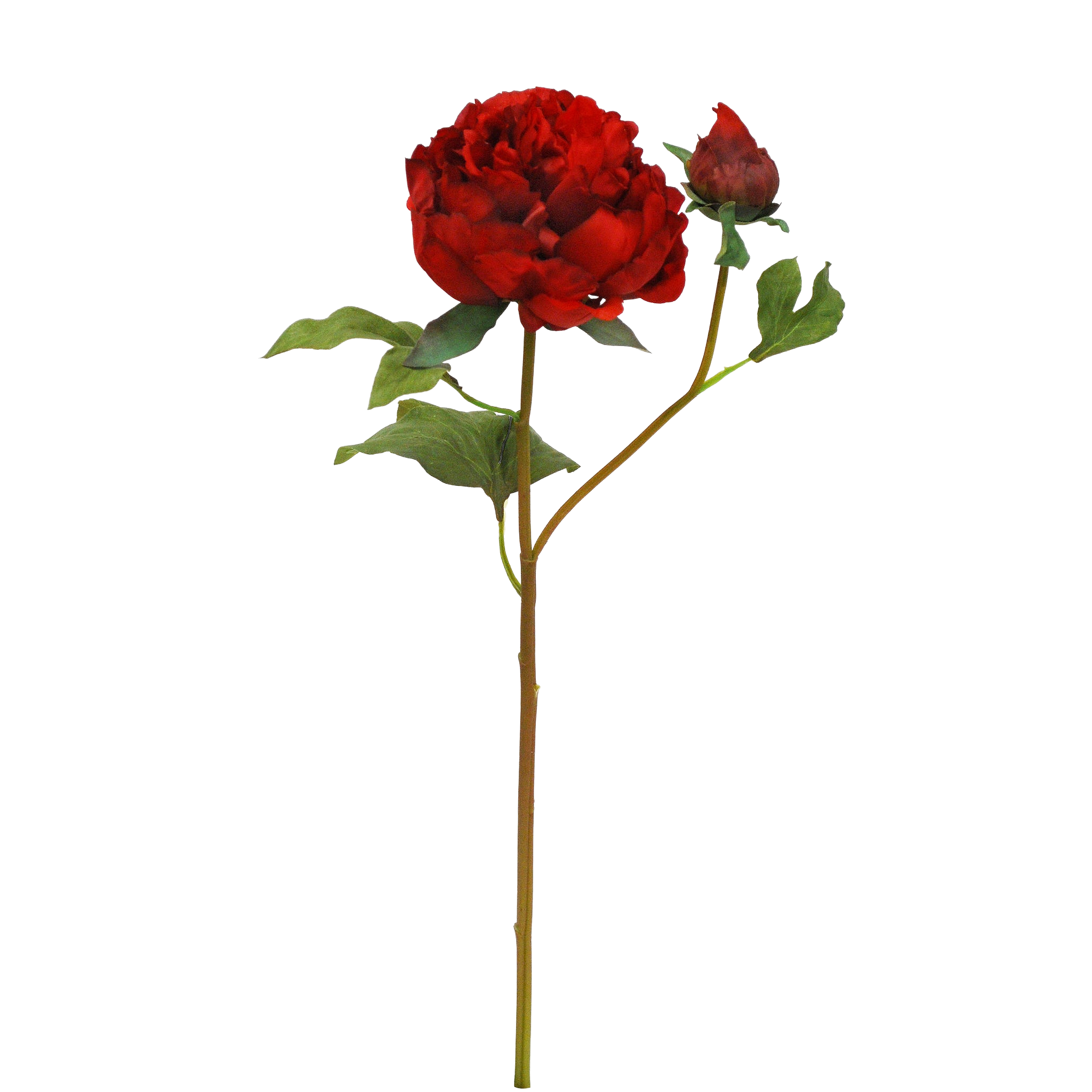 Winward Crimson Rouge Peony With Bud 19.5" (Set of 2)