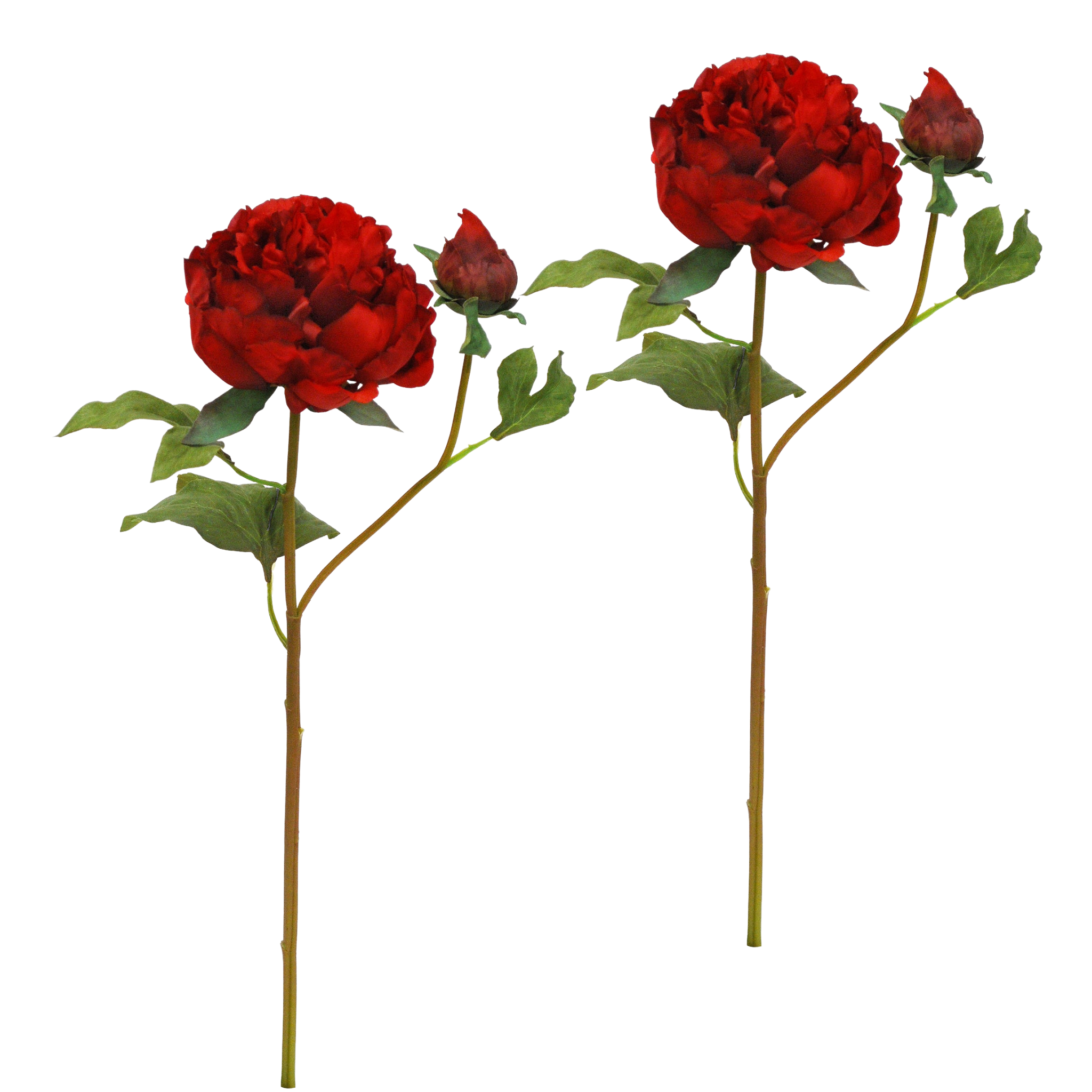 Winward Crimson Rouge Peony With Bud 19.5" (Set of 2)