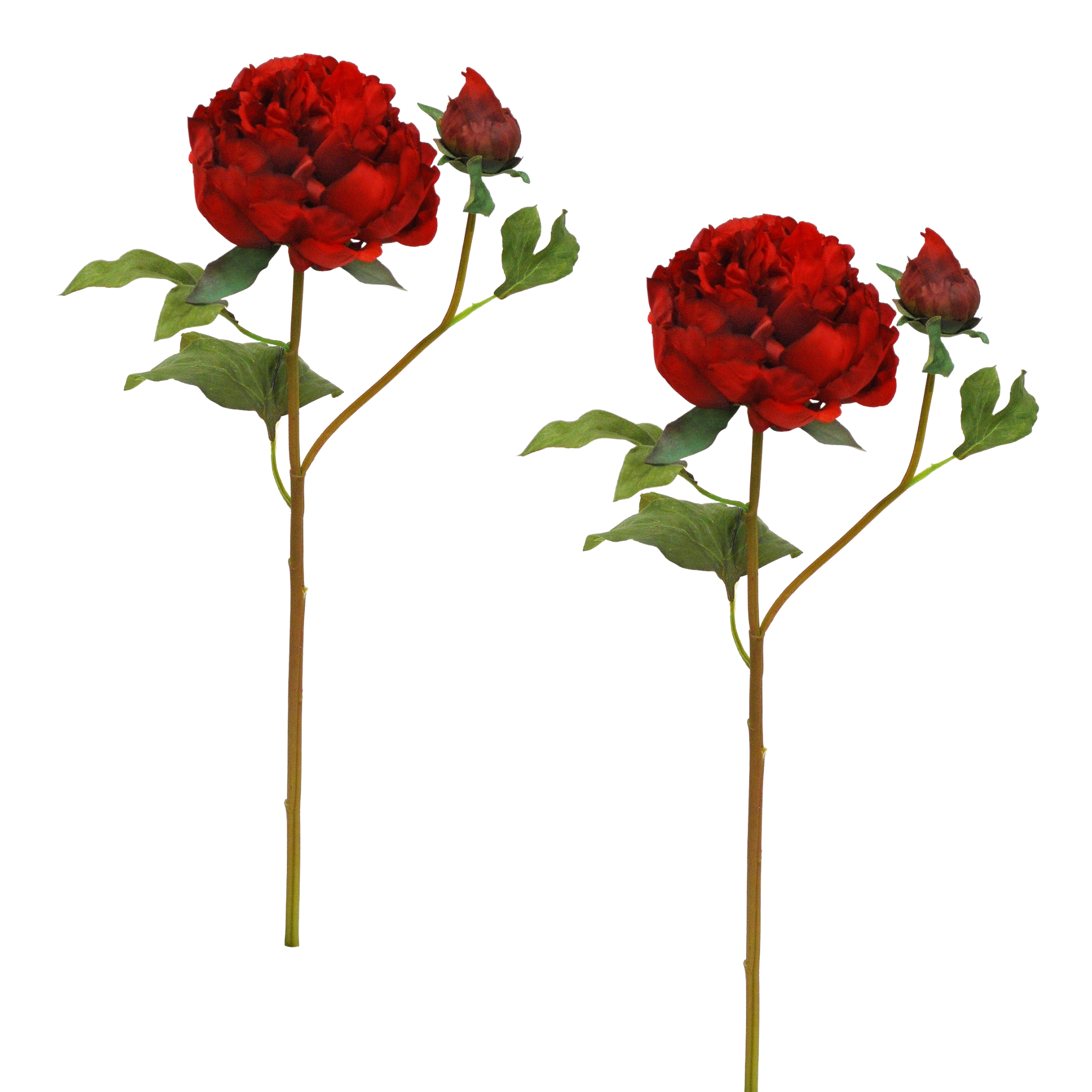 Winward Crimson Rouge Peony With Bud 19.5" (Set of 2)