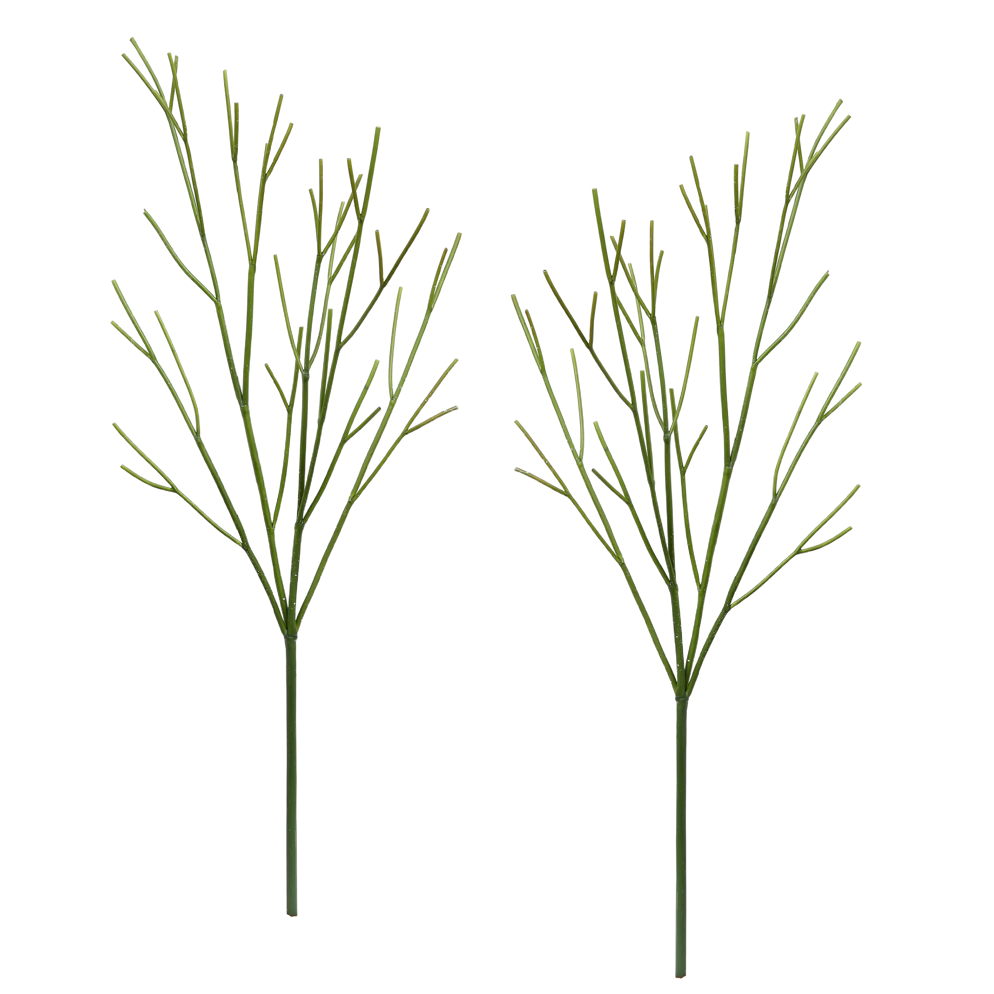 Winward Winter Cornus Twig Branch 30" (Set of2)