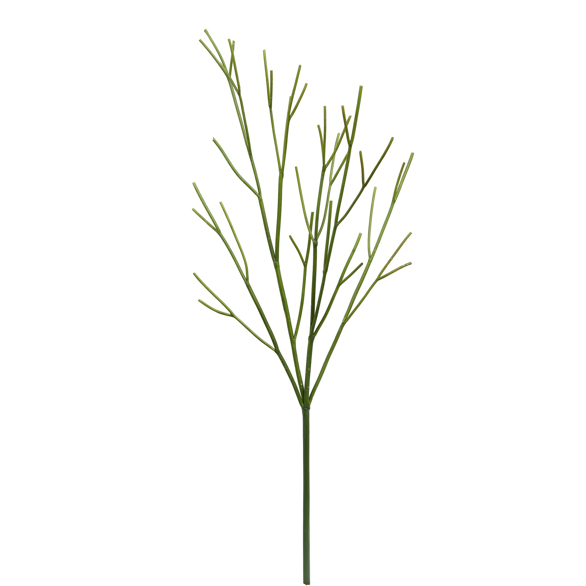 Winward Winter Cornus Twig Branch 30" (Set of2)