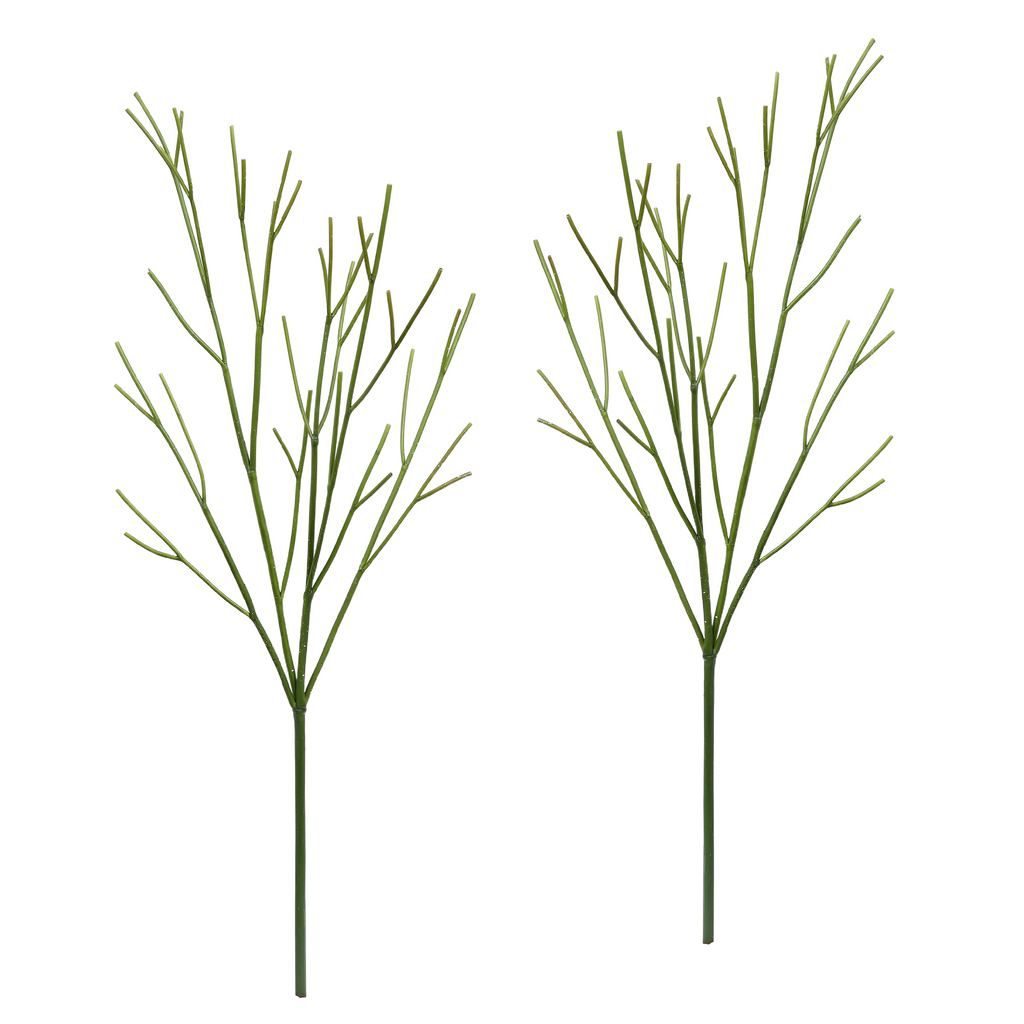 Winward Winter Cornus Twig Branch 30" (Set of2)